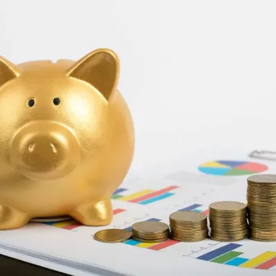 QUI ETES VOUS- SECTEUR PUBLIC-ENTREPRISES PUBLIQUES LOCALES...-CE QUE VOUS Y GAGNEZ